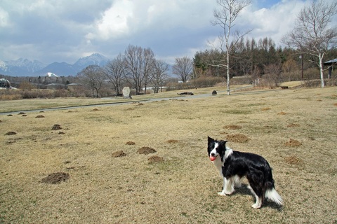 f0034602_17483328.jpg