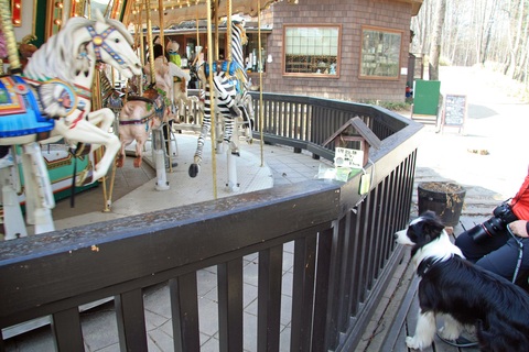f0034602_17522426.jpg