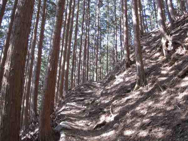 e0183804_12351463.jpg