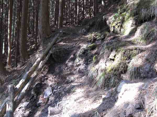 e0183804_1235655.jpg