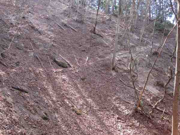 e0183804_12361317.jpg