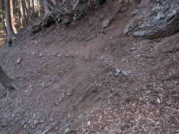 e0183804_1236728.jpg