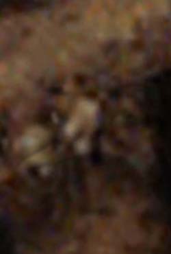 e0103408_14394416.jpg