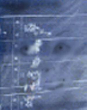 e0103408_14534776.jpg