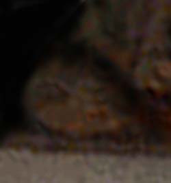 e0103408_1453887.jpg