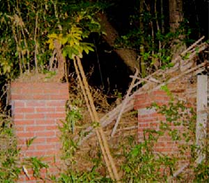 e0103408_14565514.jpg
