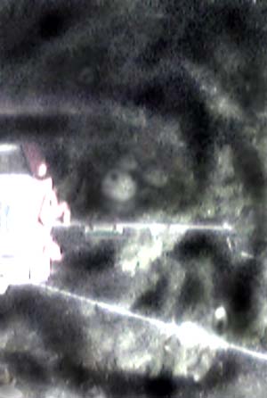 e0103408_522590.jpg