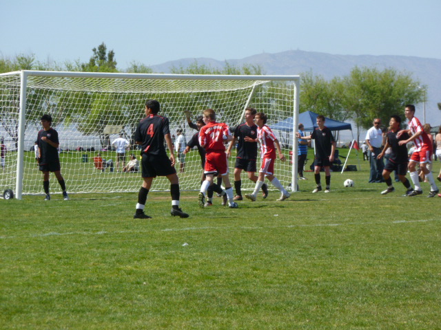 a0144811_5162078.jpg