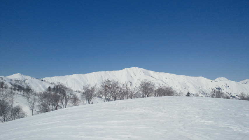 c0175712_1125842.jpg