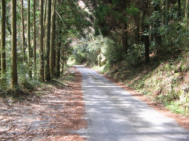 d0006512_20385127.jpg