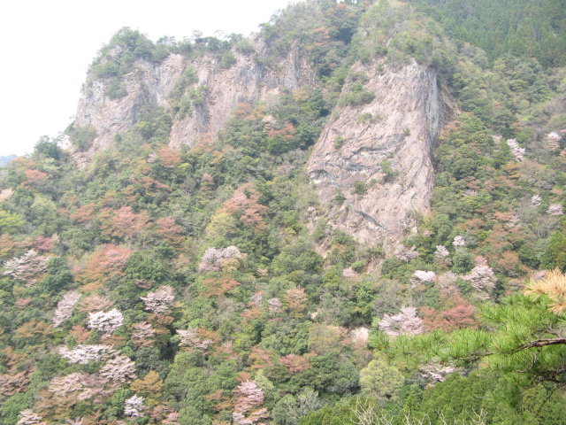 d0006512_20393424.jpg