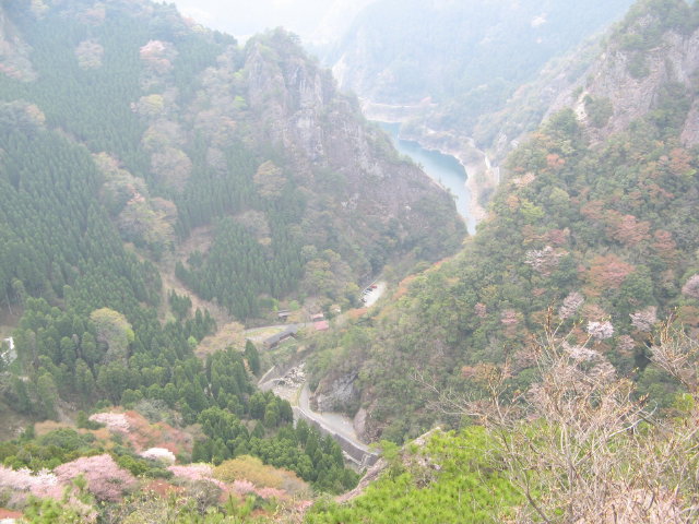 d0006512_2041025.jpg