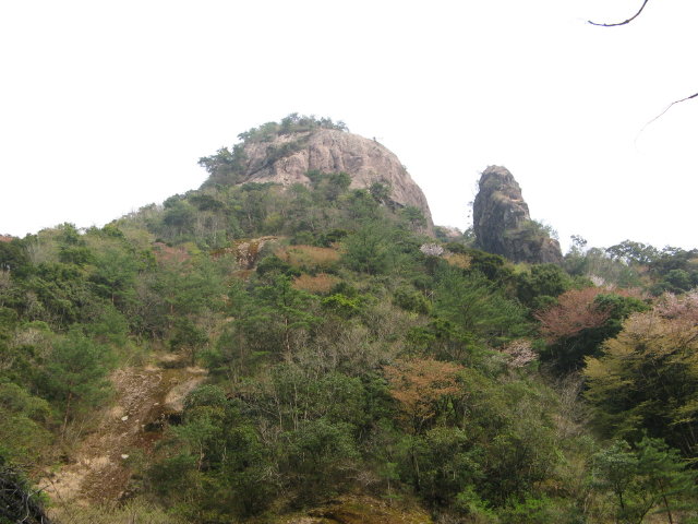 d0006512_20411710.jpg