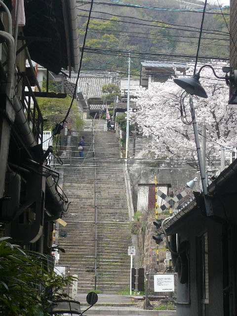 e0026017_13362587.jpg