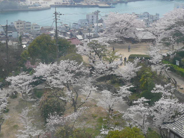 e0026017_13365161.jpg