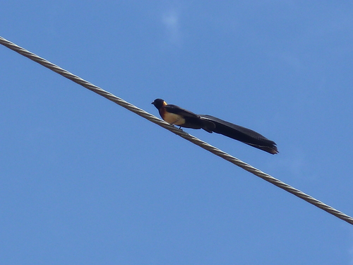 b0208620_23184585.jpg
