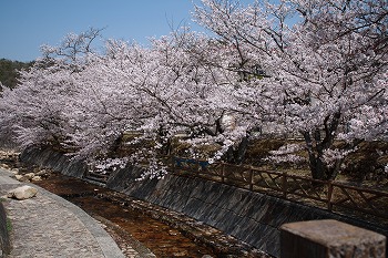 b0056924_23171532.jpg