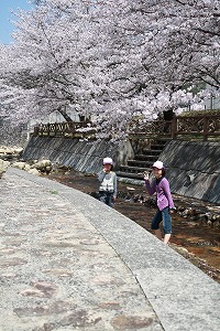 b0056924_23175552.jpg