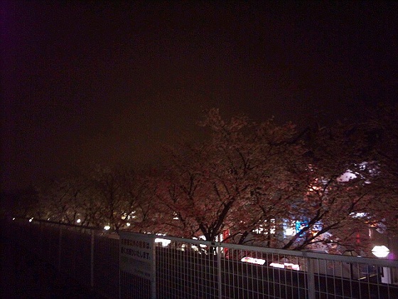 b0199924_1712328.jpg
