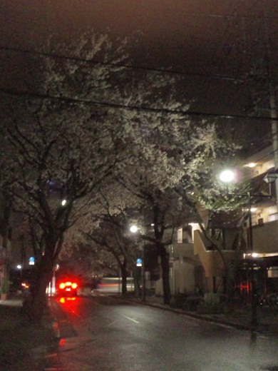 b0199924_17141043.jpg