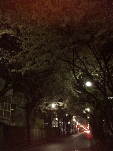 b0199924_1714359.jpg