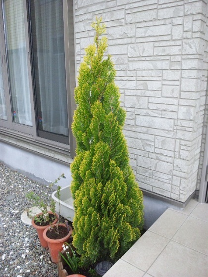 b0199924_756071.jpg