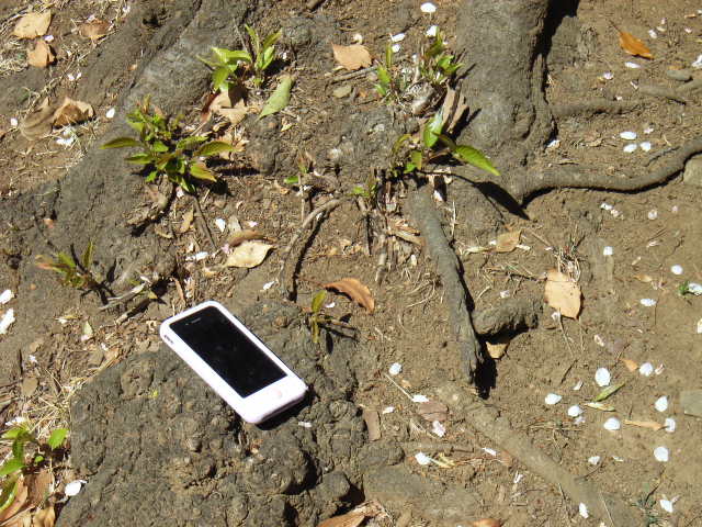 e0177824_20453483.jpg
