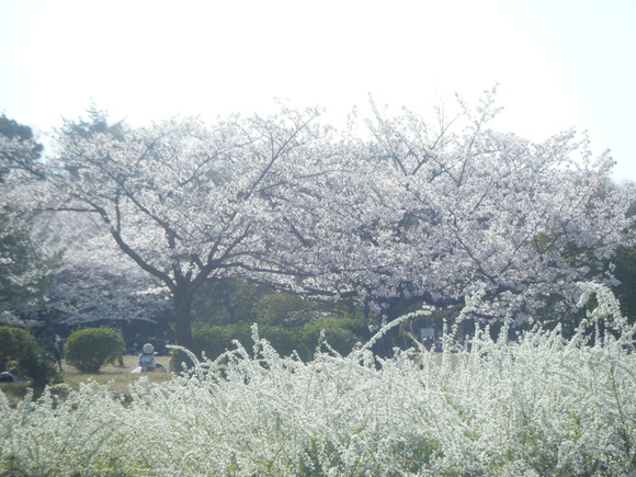 e0024126_21161784.jpg