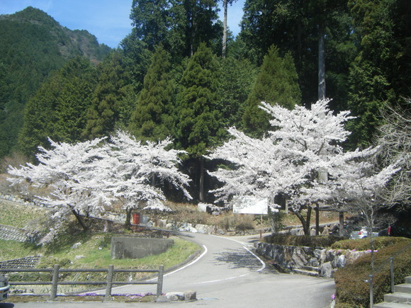 e0024126_21242093.jpg