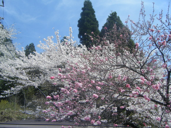 e0024126_21253737.jpg