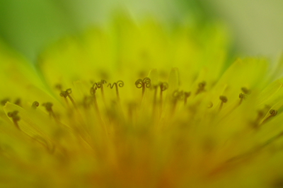 b0042527_9273970.jpg