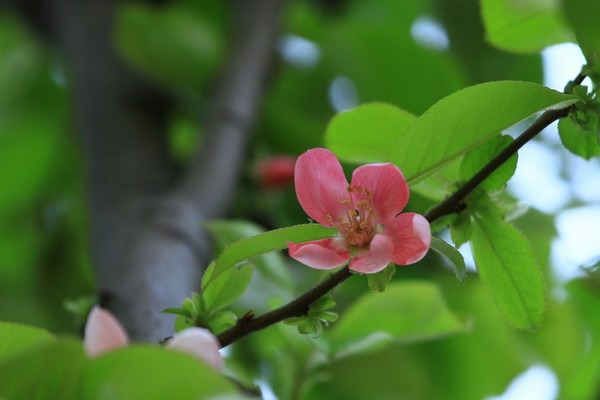 c0104227_38441.jpg