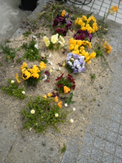 c0034228_185523.jpg