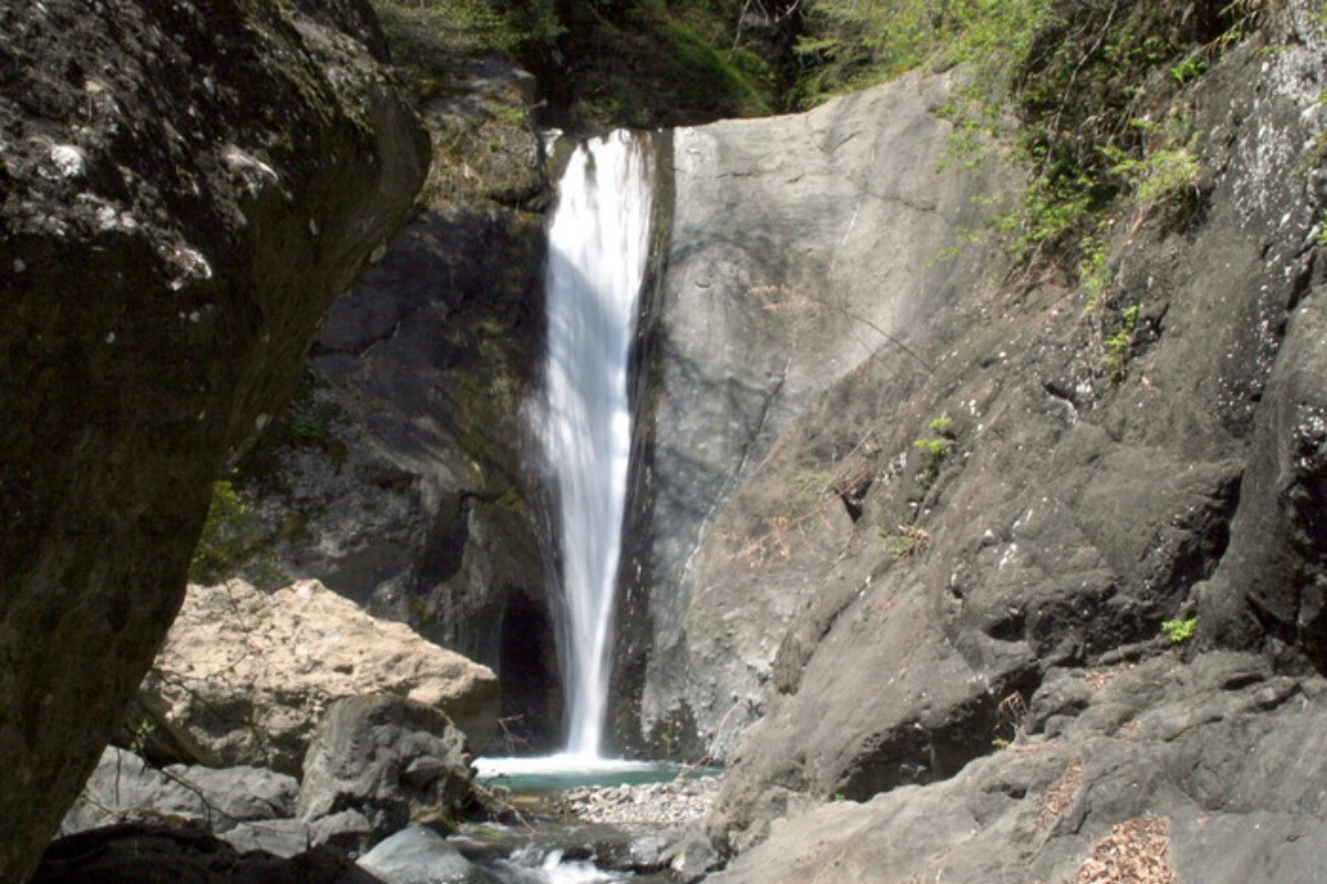 e0033229_219150.jpg