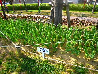 e0091230_20155483.jpg