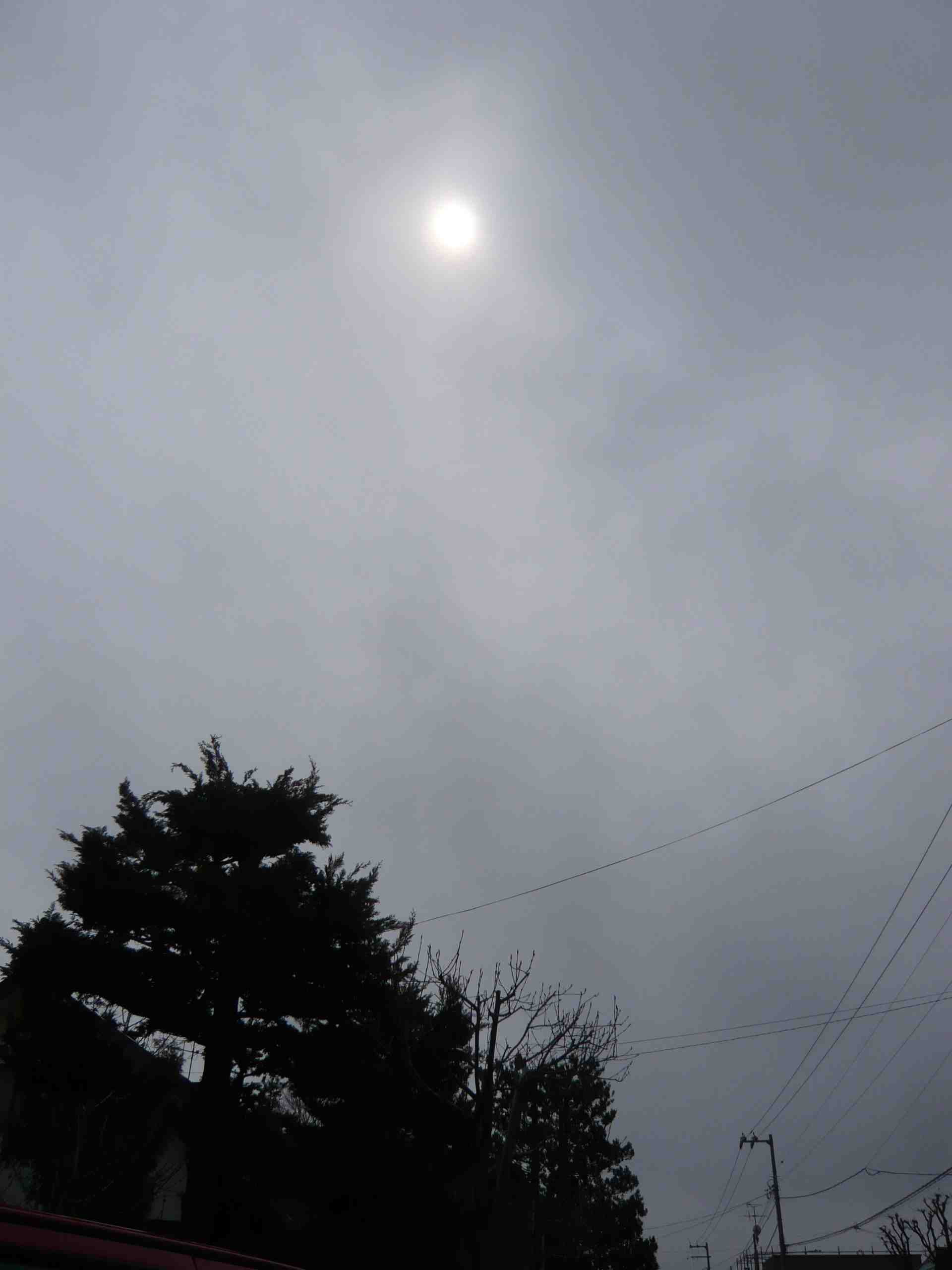 d0217833_1041234.jpg