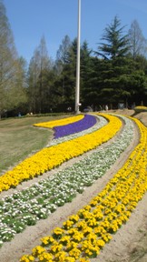 c0100534_16594930.jpg