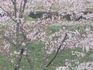 c0100534_8384893.jpg