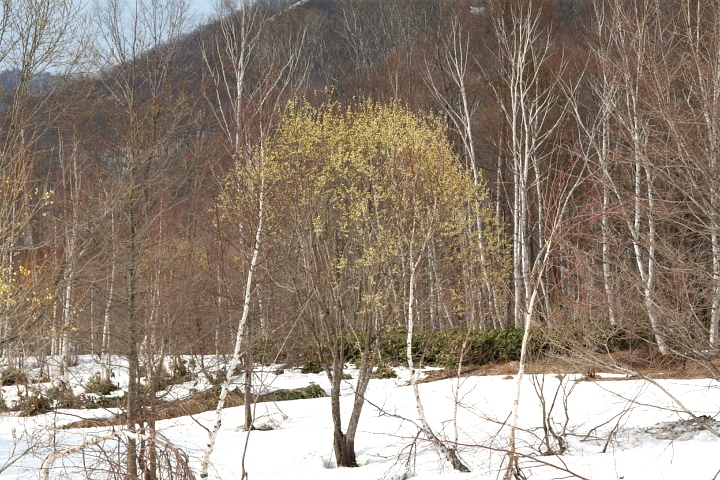 d0012134_15523178.jpg