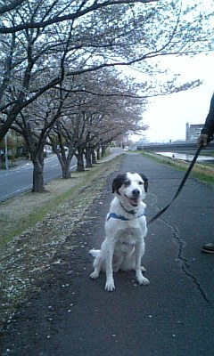 f0060535_0234679.jpg