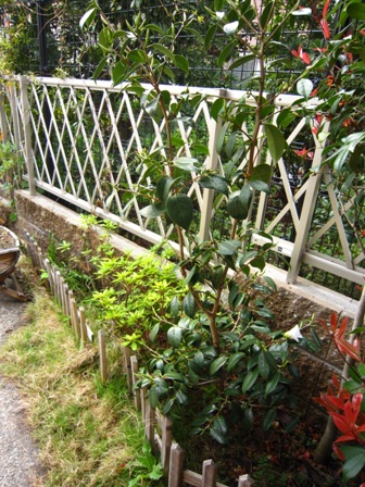 e0198839_2101017.jpg