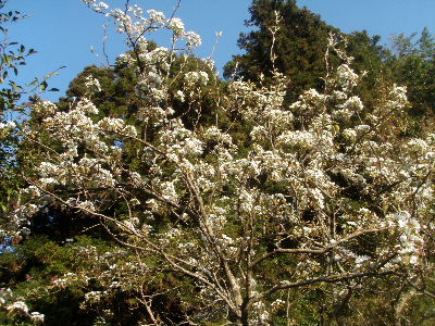 a0054240_21213145.jpg