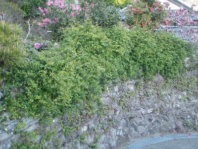 a0054240_21253842.jpg