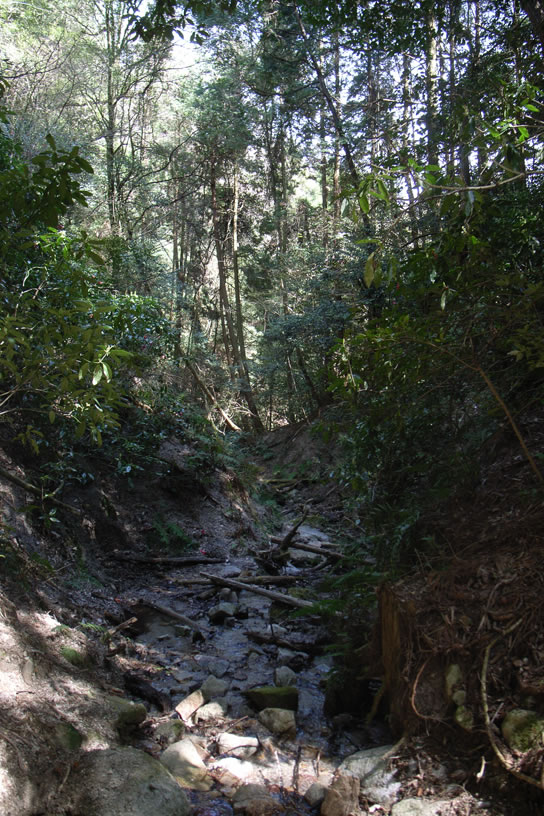 a0130641_1148392.jpg