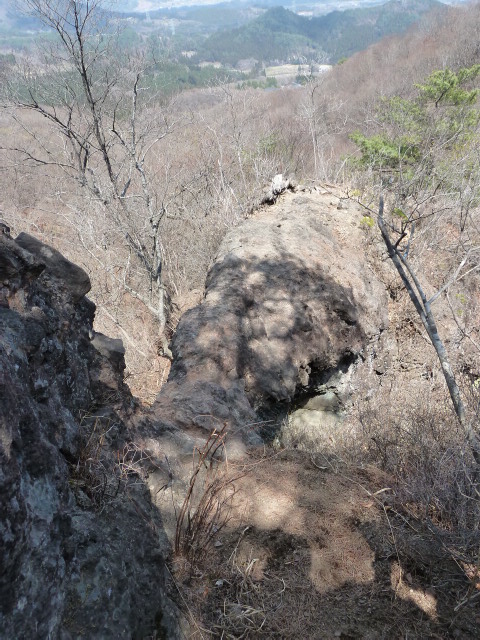 b0190242_11101843.jpg