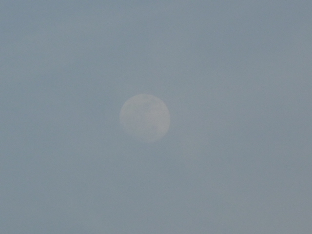 b0190242_112539.jpg