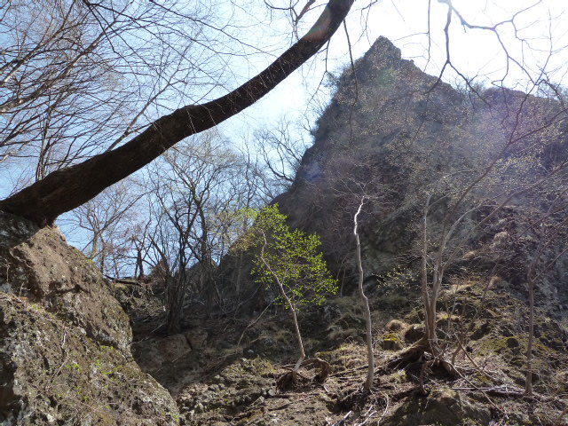 b0190242_118390.jpg