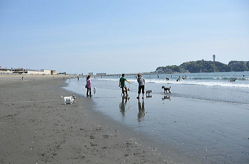f0094843_21422573.jpg