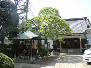 e0105846_10474843.jpg