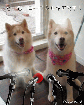 e0121548_21541039.gif
